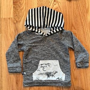 Dino Hooded Sweatshirt